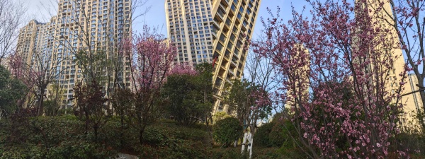 3.26 合2.jpg 3.26 合2.jpg